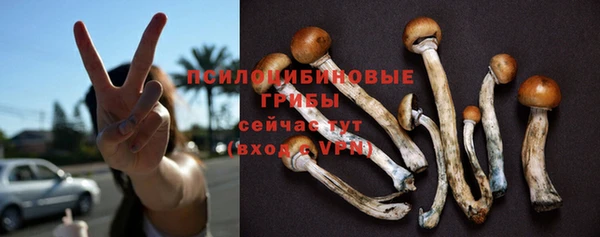 гидропоника Абинск