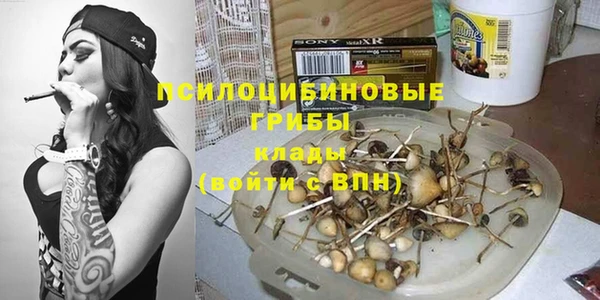 стафф Алексин