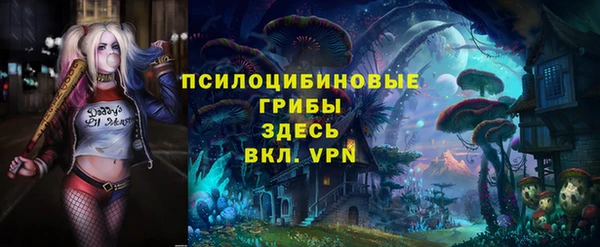 стафф Алексин