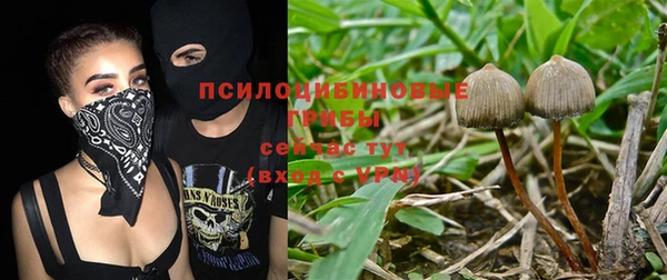 гидра Абдулино