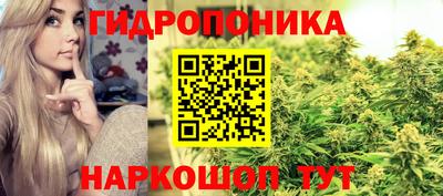 прущие грибы Рязань