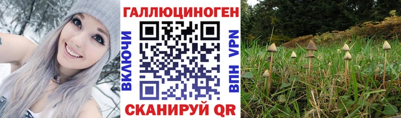 как найти наркотики  Сатка  Галлюциногенные грибы мухоморы 