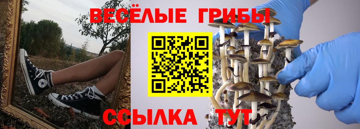 Псилоцибиновые грибы мицелий  Вход с VPN  Псилоцибиновые грибы прущие грибы  Сатка 